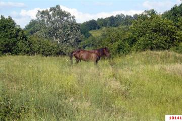 Фото №3: Земельный участок 4.02 сот. - Октябрьский, ст Краснодарсельмаш, ул. Советская, 14