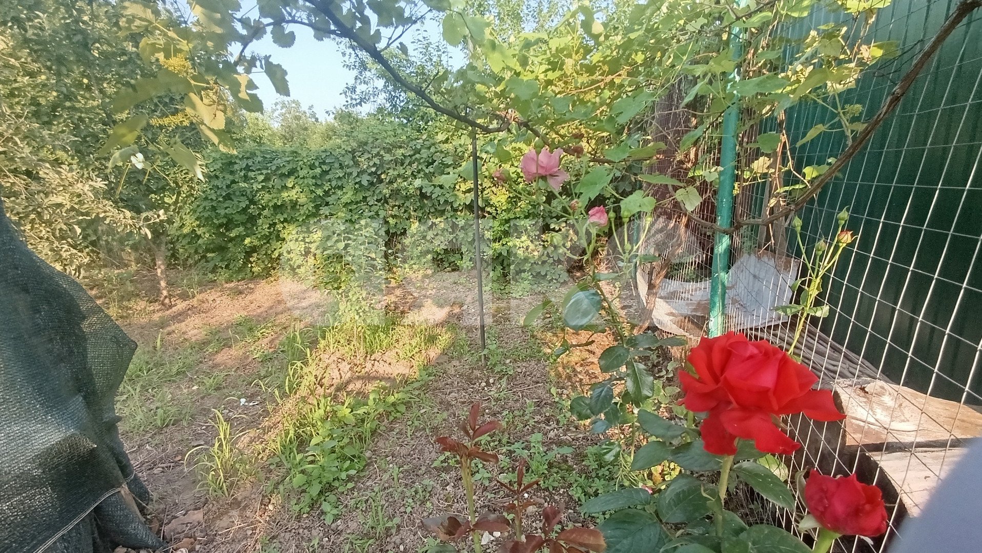 Фото №38: Дом 40 м² + 5 сот. - Саратовская, ул. Сарьяна