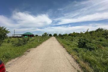 Фото №5: Земельный участок 20 сот. - Супс, 