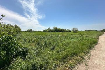 Фото №5: Земельный участок 10 сот. - Супс, 