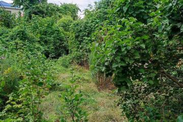 Фото №1: Дом 36 м² - Дружба, мкр. Карасунский внутригородской округ, ул. Абрикосовая, 131