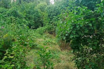 Фото №4: Земельный участок 4.3 сот. - Дружба, мкр. Карасунский внутригородской округ, ул. Абрикосовая, 133