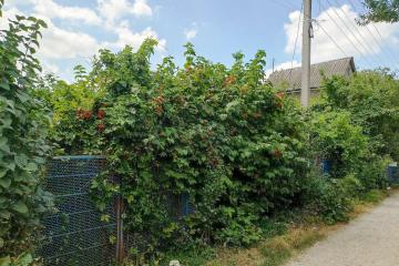 Фото №5: Земельный участок 4.3 сот. - Дружба, мкр. Карасунский внутригородской округ, ул. Абрикосовая, 133