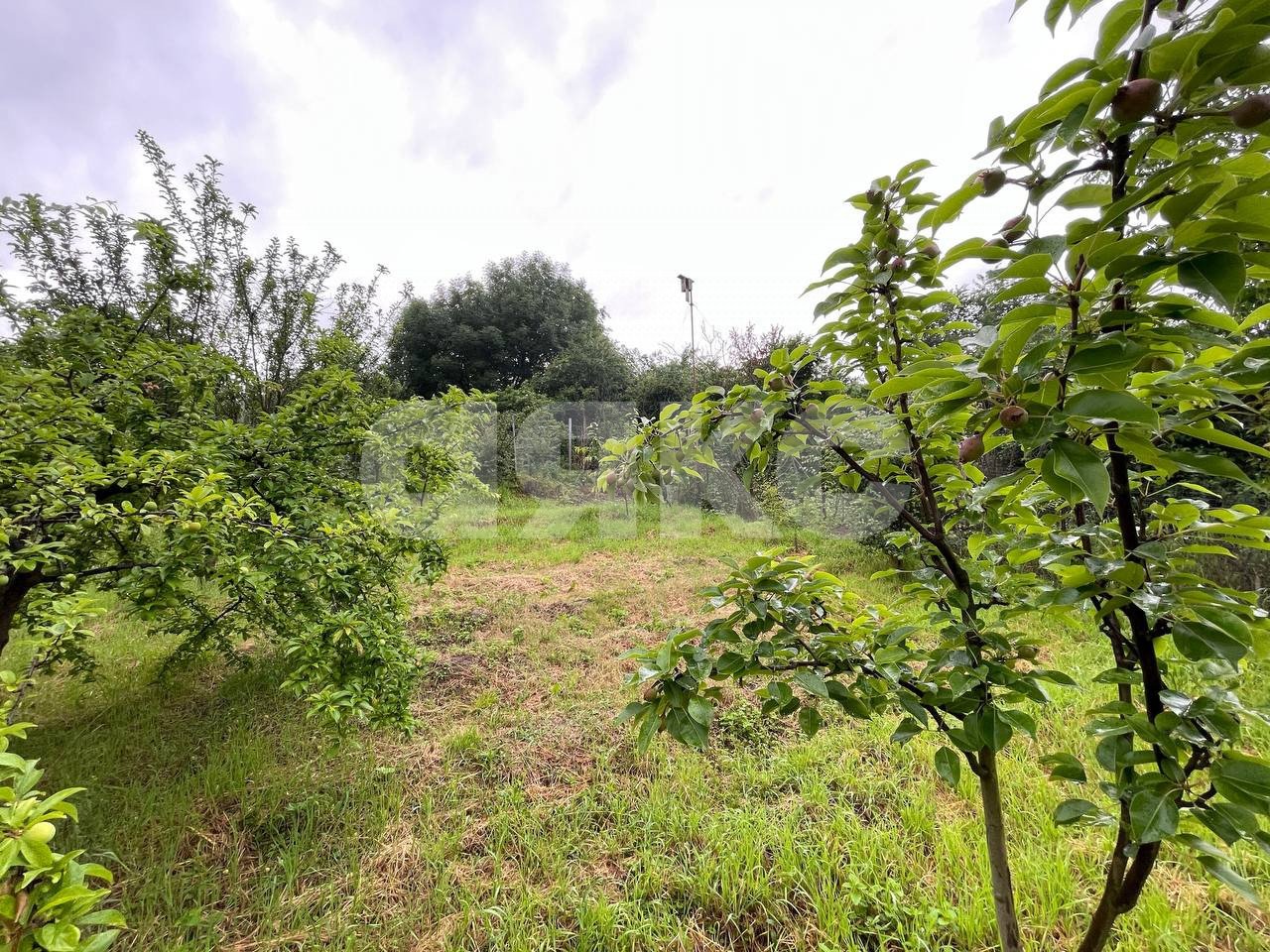 Фото №32: Дом 50 м² + 7 сот. - Горячий Ключ, Курортная Зона, мкр. Курортная Зона, ул. Первомайская