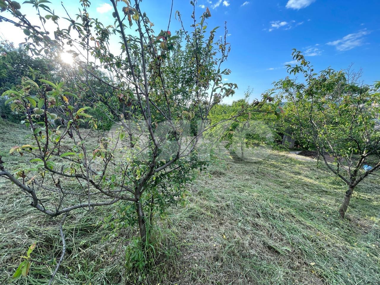 Фото №34: Дом 50 м² + 7 сот. - Горячий Ключ, Курортная Зона, мкр. Курортная Зона, ул. Первомайская