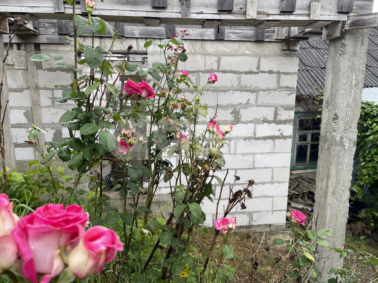 Фото №12: Дом 50 м² + 7 сот. - Горячий Ключ, Курортная Зона, мкр. Курортная Зона, ул. Первомайская