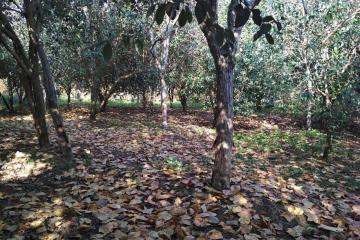 Фото №3: Коммерция 11 м² - Нижняя Шиловка, мкр. квартал Социализм, ул. Сормовская, 11