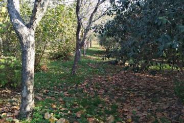 Фото №1: Коммерция 11 м² - Нижняя Шиловка, мкр. квартал Социализм, ул. Сормовская, 11