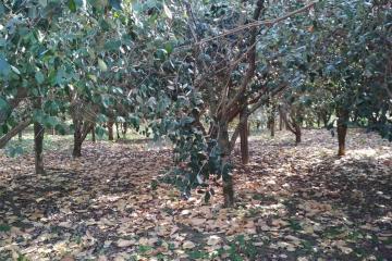 Фото №2: Коммерция 11 м² - Нижняя Шиловка, мкр. квартал Социализм, ул. Сормовская, 11