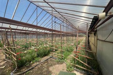 Фото №5: Земельный участок 17 сот. - Нововеличковская, ул. Фрунзе, 63