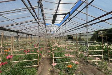 Фото №2: Земельный участок 17 сот. - Нововеличковская, ул. Фрунзе, 63