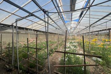 Фото №4: Земельный участок 17 сот. - Нововеличковская, ул. Фрунзе, 63