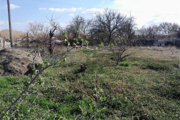 Фото №3: Земельный участок 4 сот. - Красноперекопск, мкр. садоводческое общество Мичуринец, ул. Набережная