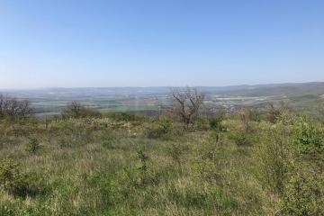 Фото №5: Земельный участок 6 сот. - Верхнебаканский, ул. Ленина