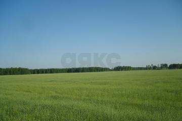 Фото №1: Земельный участок 6 сот. - Краснодар, мкр. Прикубанский внутригородской округ, ул. Спаниельская