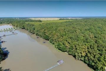 Фото №1: Коммерция 178 м² - Молькин, 