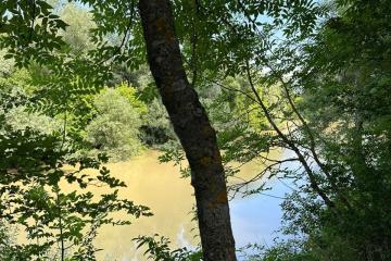 Фото №2: Коммерция 178 м² - Молькин, 