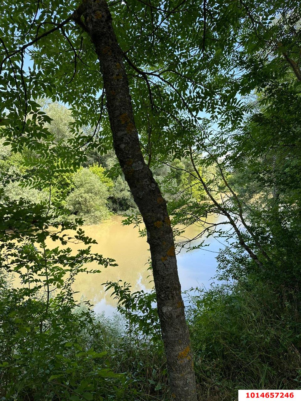 Фото №2: Коммерция 178 м² - Молькин