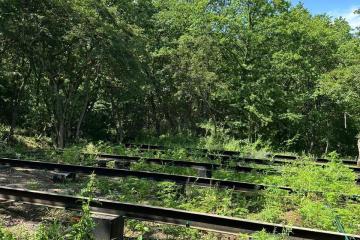 Фото №3: Коммерция 178 м² - Молькин, 