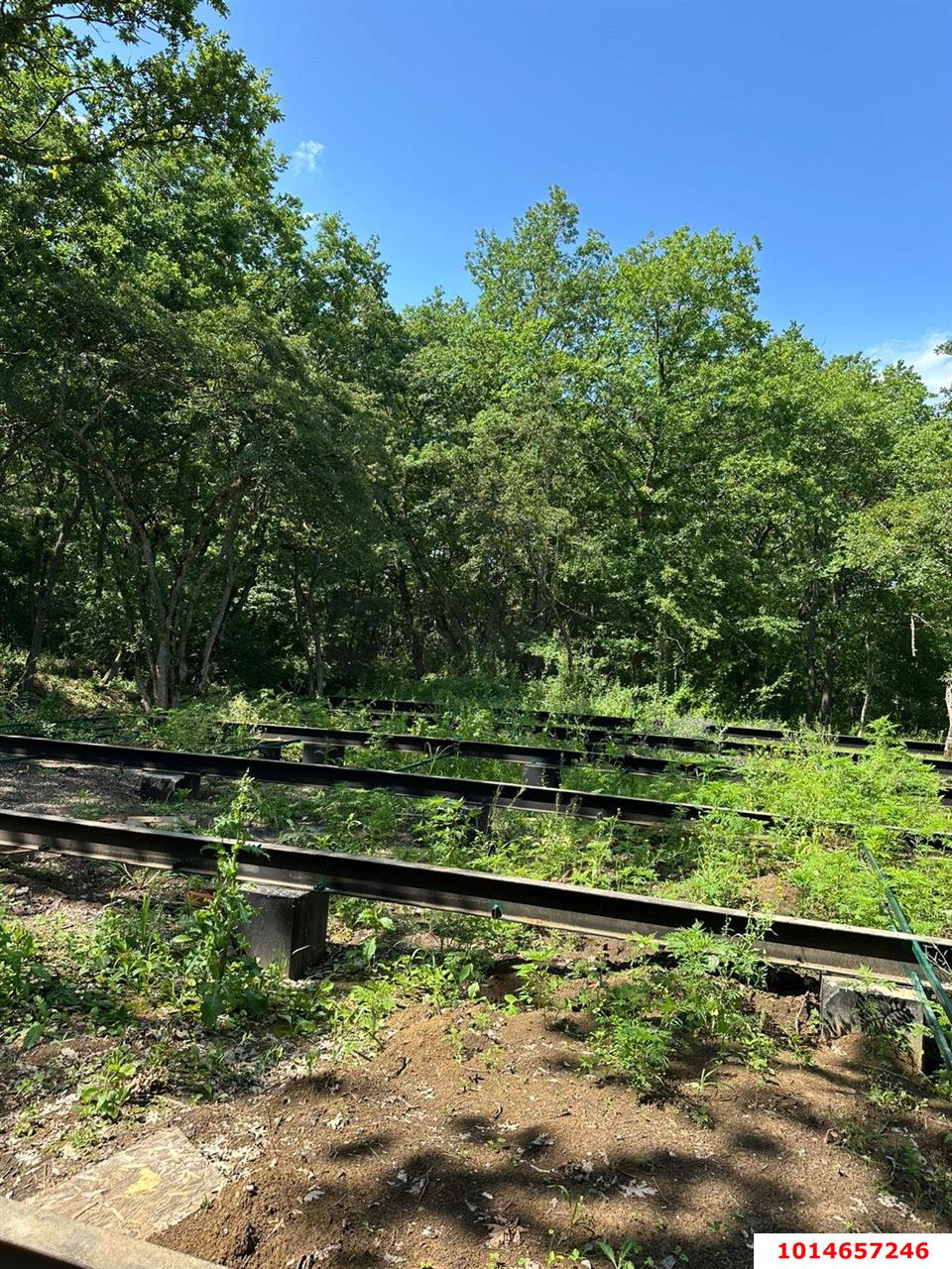 Фото №3: Коммерция 178 м² - Молькин