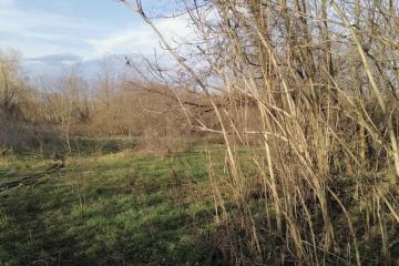 Фото №2: Земельный участок 6.86 сот. - Вольно-Весёлый, пер. Короткий, 1