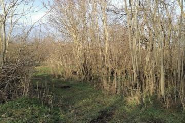 Фото №3: Земельный участок 6.86 сот. - Вольно-Весёлый, пер. Короткий, 1