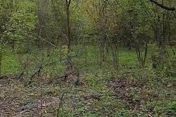 Фото №5: Земельный участок 7.2 сот. - Саратовская, ул. Первомайская