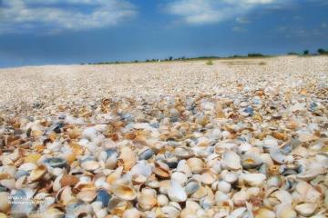 Фото №4: Земельный участок 6.77 сот. - Бородинская, ул. Морская, 28/1