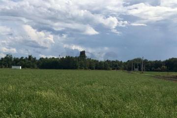 Фото №2: Коммерция 180 м² - Победитель, мкр. Прикубанский внутригородской округ, ул. Новокубанская, 8