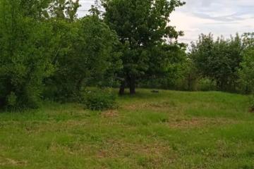 Фото №2: Земельный участок 4.5 сот. - Кубанская Нива, мкр. Прикубанский внутригородской округ, ул. Зелёная, 986