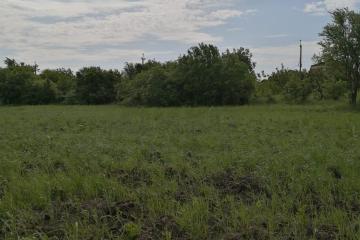 Фото №1: Земельный участок 4.5 сот. - Кубанская Нива, мкр. Прикубанский внутригородской округ, ул. Зелёная, 986