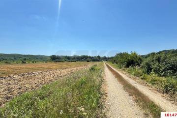 Фото №5: Коммерция 11353 м² - Краснодарский край Северский район