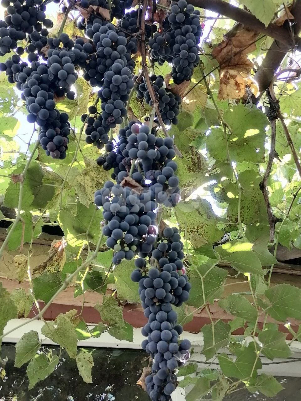 Фото №47: Дом 202 м² + 15 сот. - Саратовская, ул. Полимерная