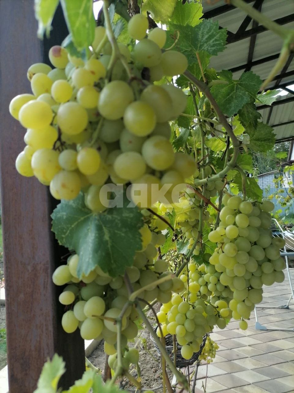 Фото №48: Дом 202 м² + 15 сот. - Саратовская, ул. Полимерная