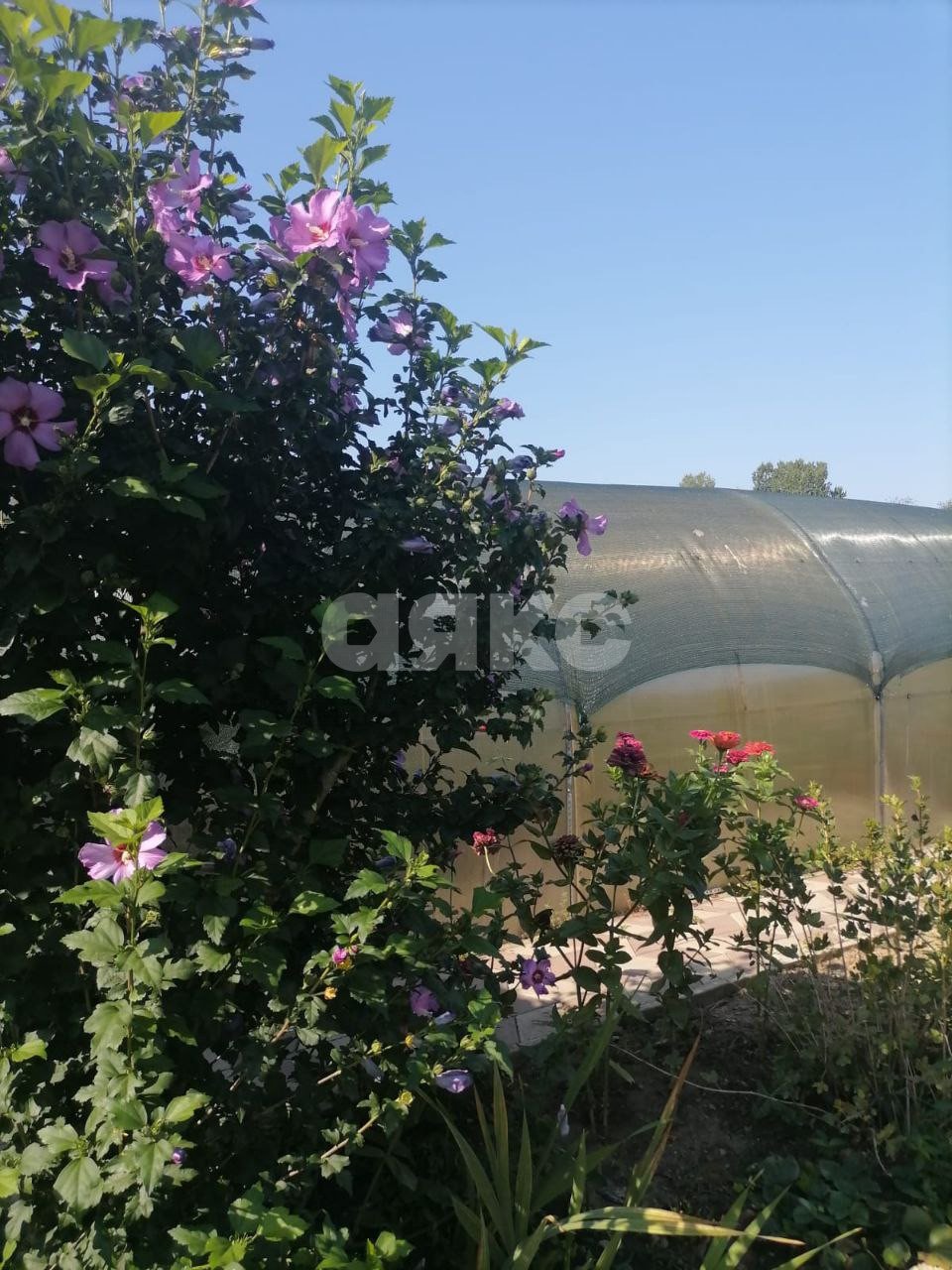 Фото №36: Дом 202 м² + 15 сот. - Саратовская, ул. Полимерная