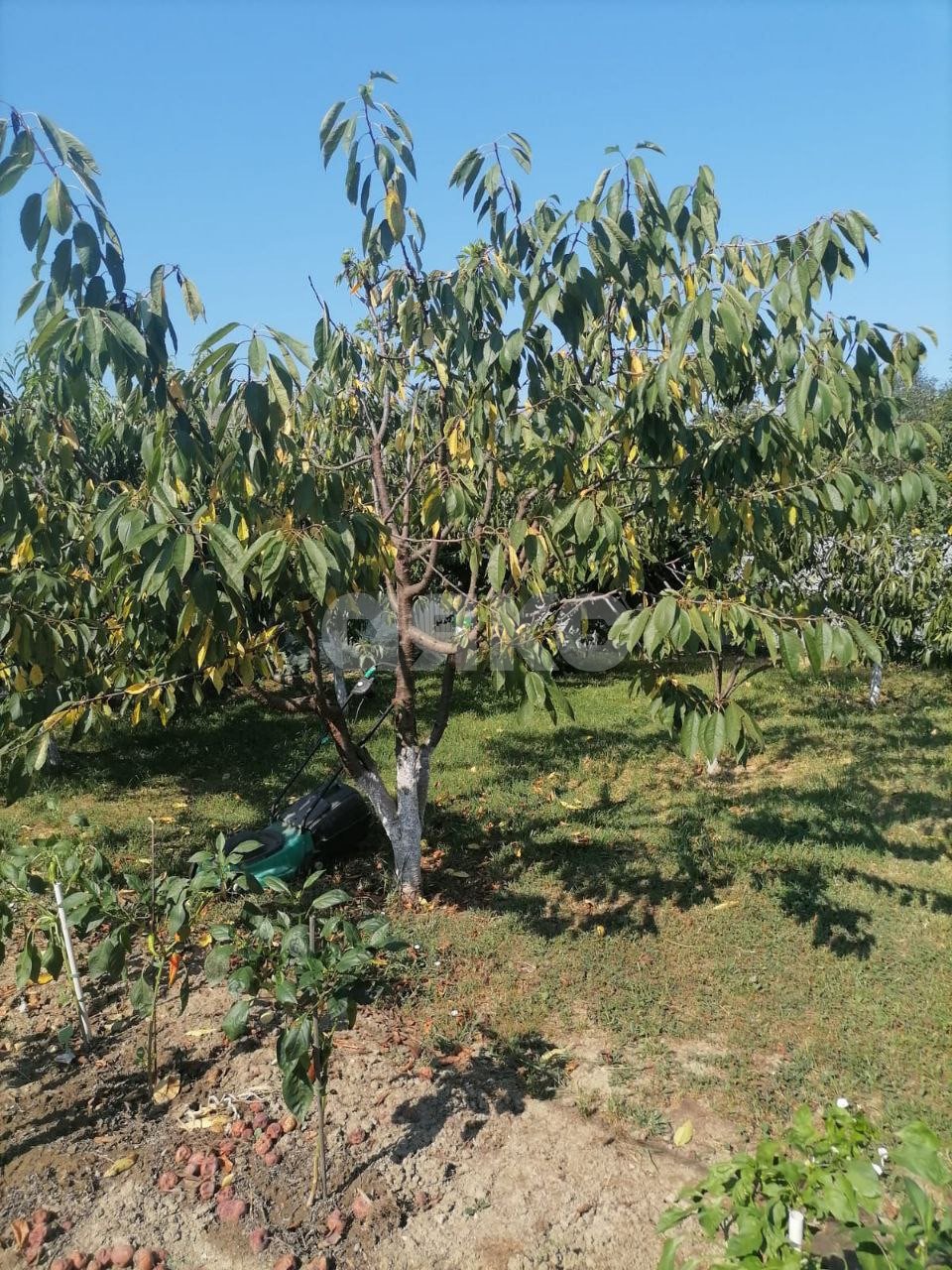 Фото №29: Дом 202 м² + 15 сот. - Саратовская, ул. Полимерная