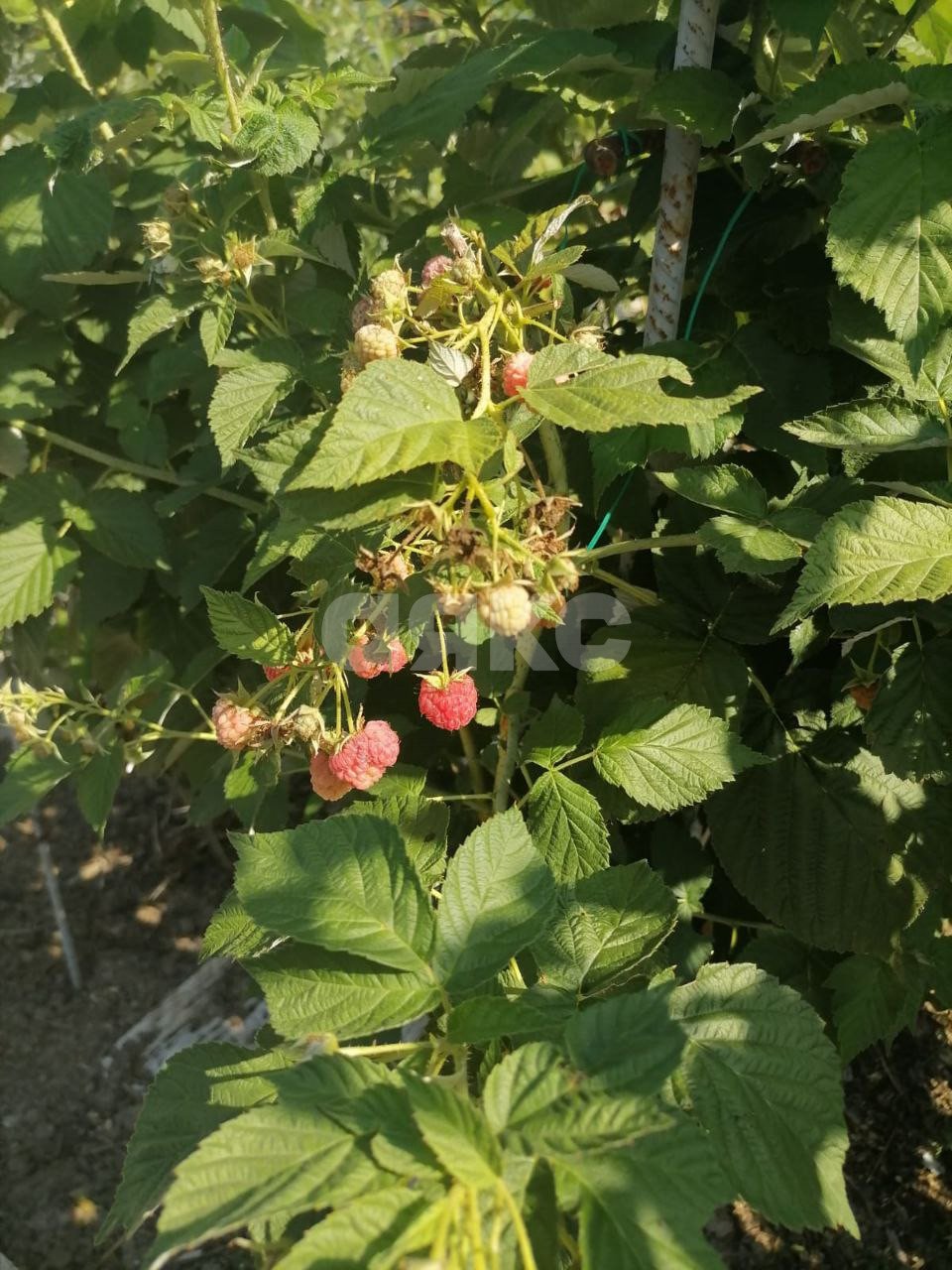 Фото №30: Дом 202 м² + 15 сот. - Саратовская, ул. Полимерная