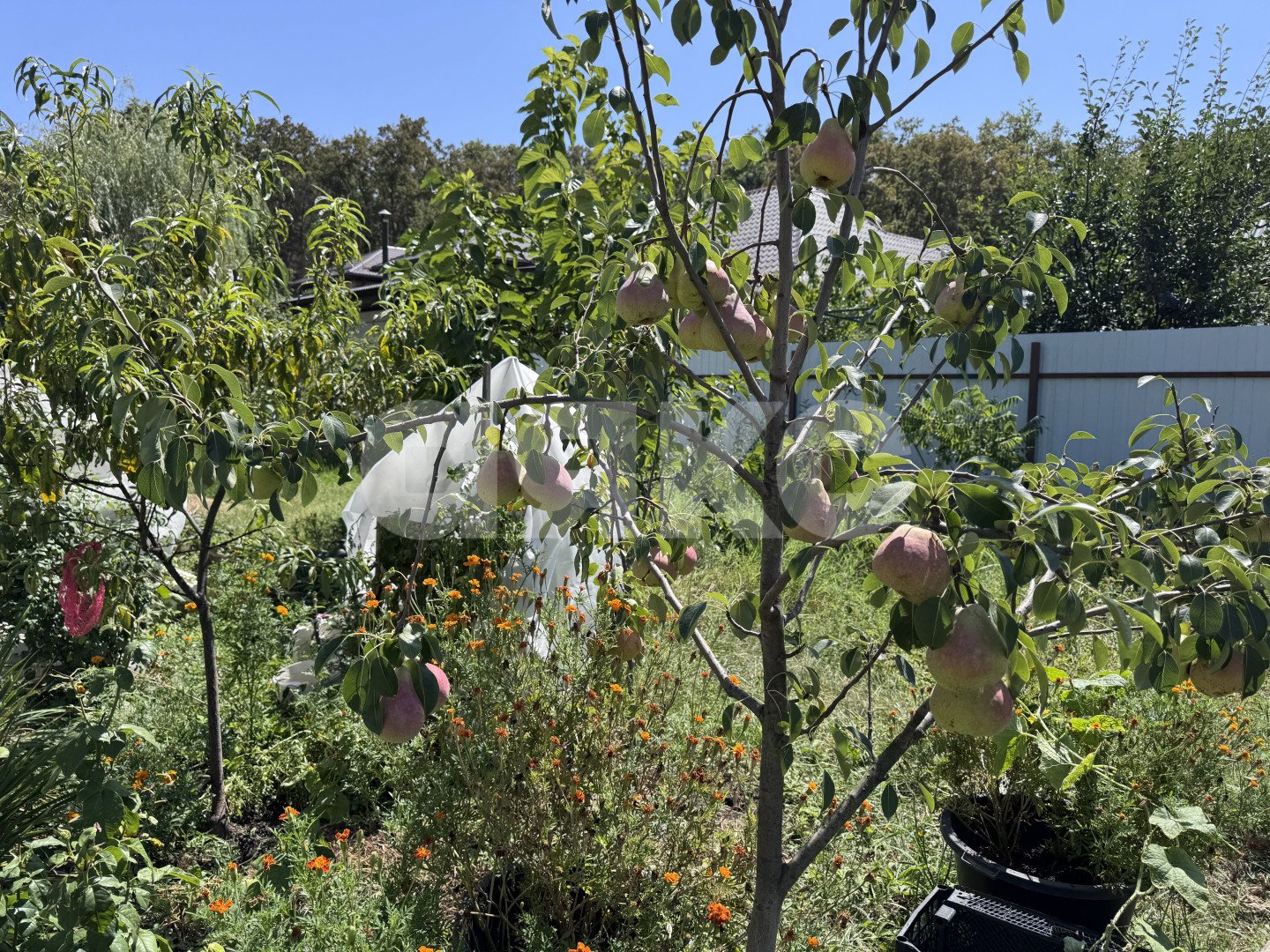 Фото №22: 1-комнатная квартира 39 м² - Горячий Ключ, Развилка, мкр. Дубрава, ул. Михаила Корницкого, 14