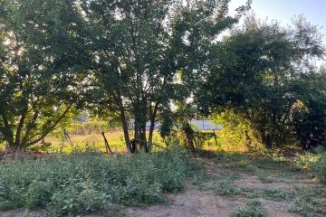 Фото №3: Земельный участок 5 сот. - Старомышастовская, ул. Набережная, 26