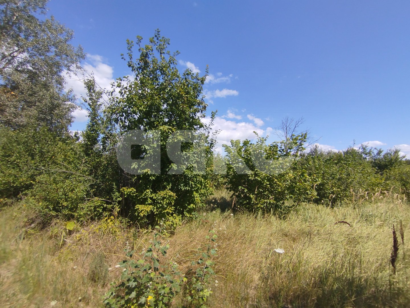 Фото №17: Участок садоводство 6 сот. - Мебельщик, 460