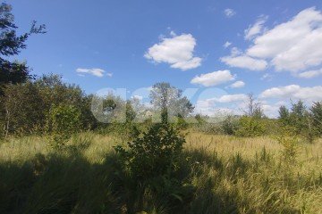 Фото №4: Участок садоводство - Мебельщик, 460