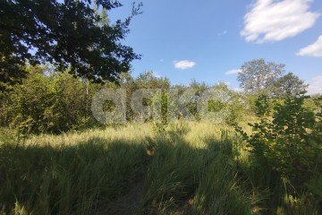 Фото №3: Участок садоводство - Мебельщик, 460