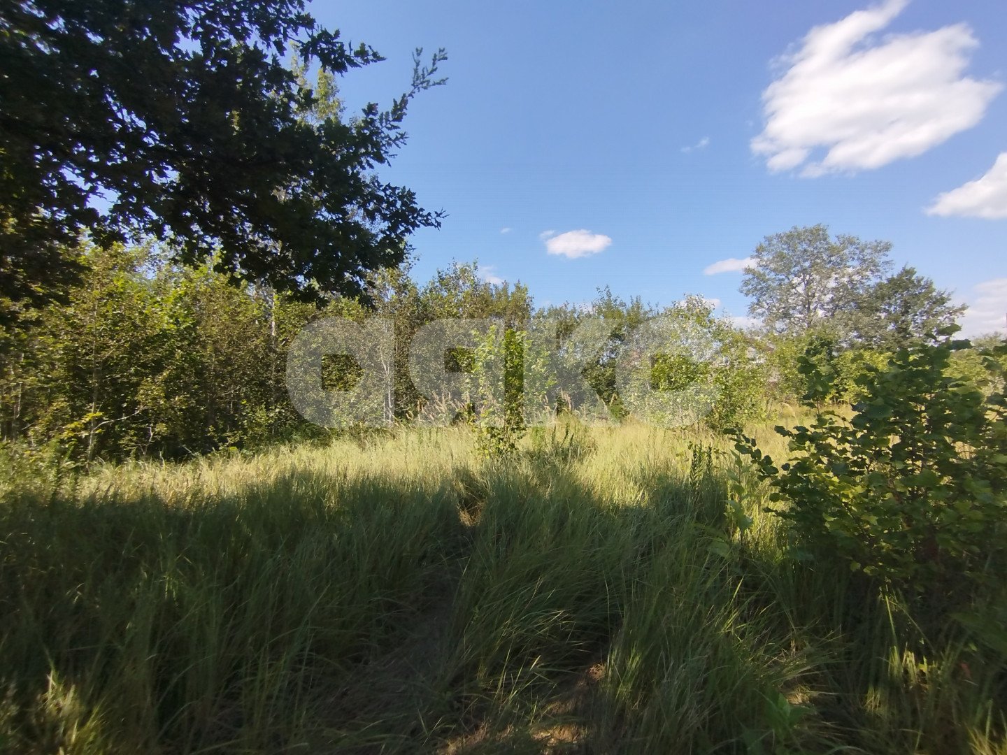 Фото №3: Участок садоводство 6 сот. - Мебельщик, 460