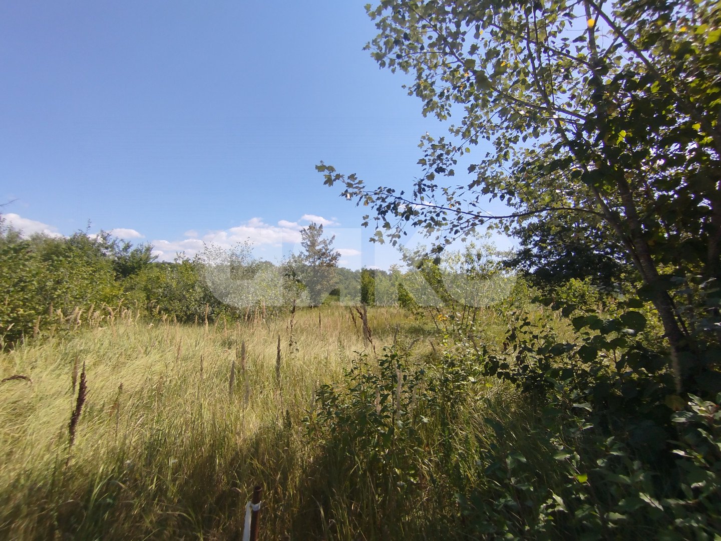 Фото №7: Участок садоводство 6 сот. - Мебельщик, 460