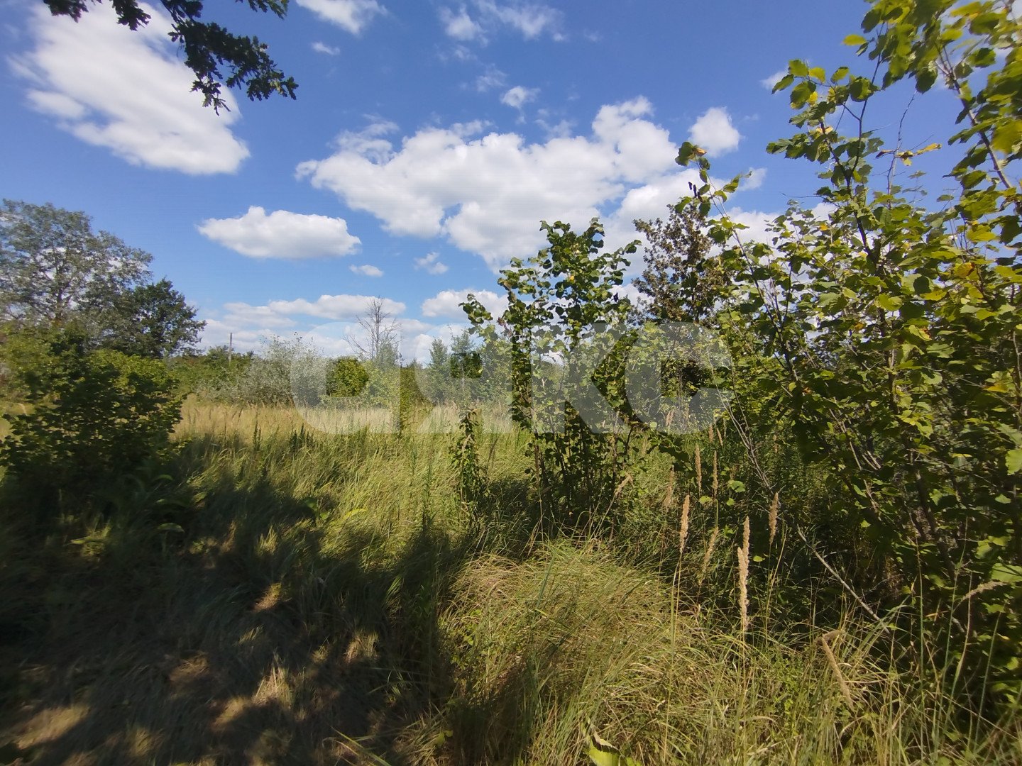 Фото №18: Участок садоводство 6 сот. - Мебельщик, 460