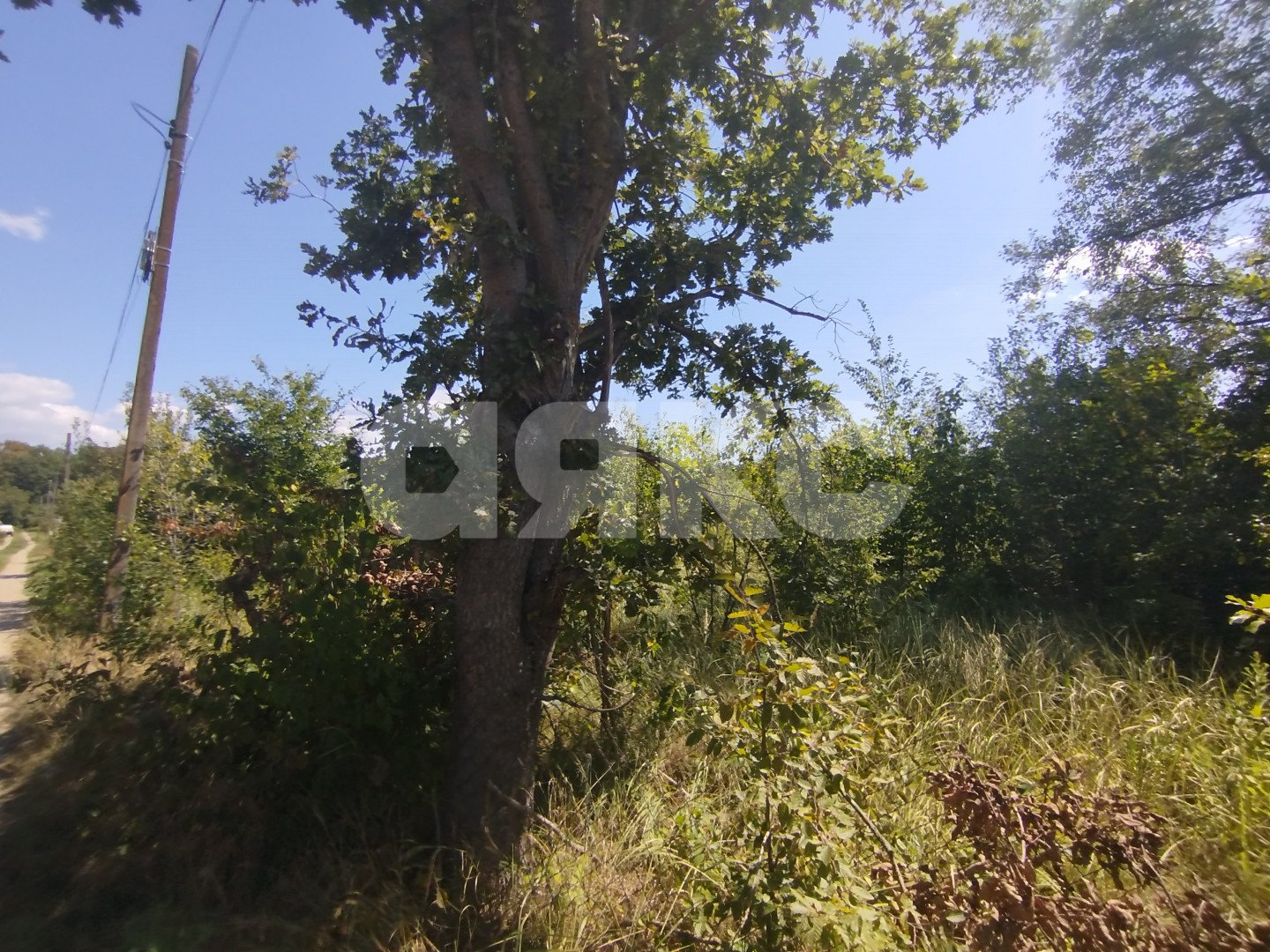 Фото №6: Участок садоводство 6 сот. - Мебельщик, 460