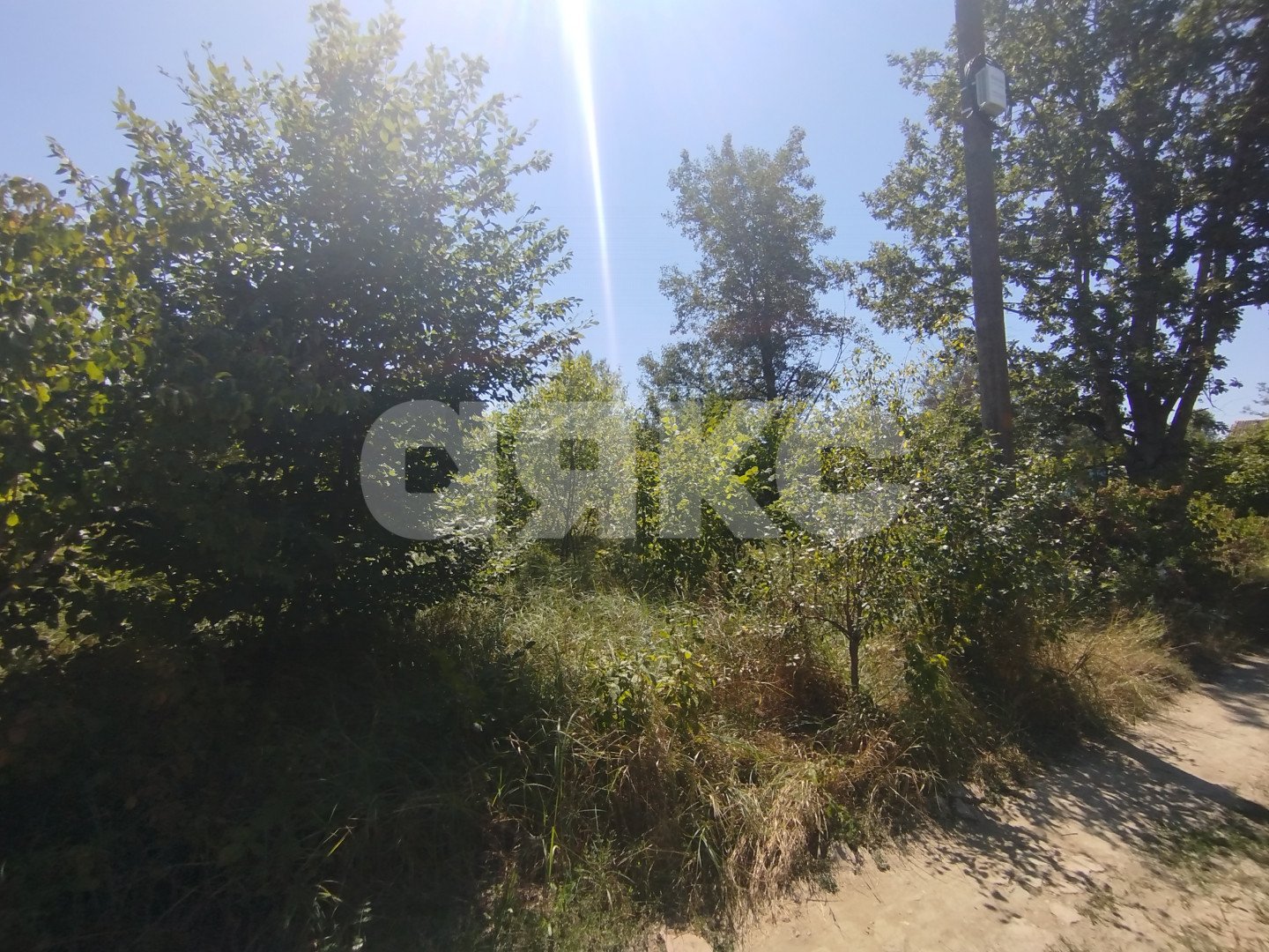 Фото №5: Участок садоводство 6 сот. - Мебельщик, 460