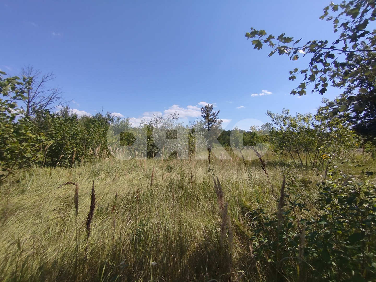 Фото №13: Участок садоводство 6 сот. - Мебельщик, 460