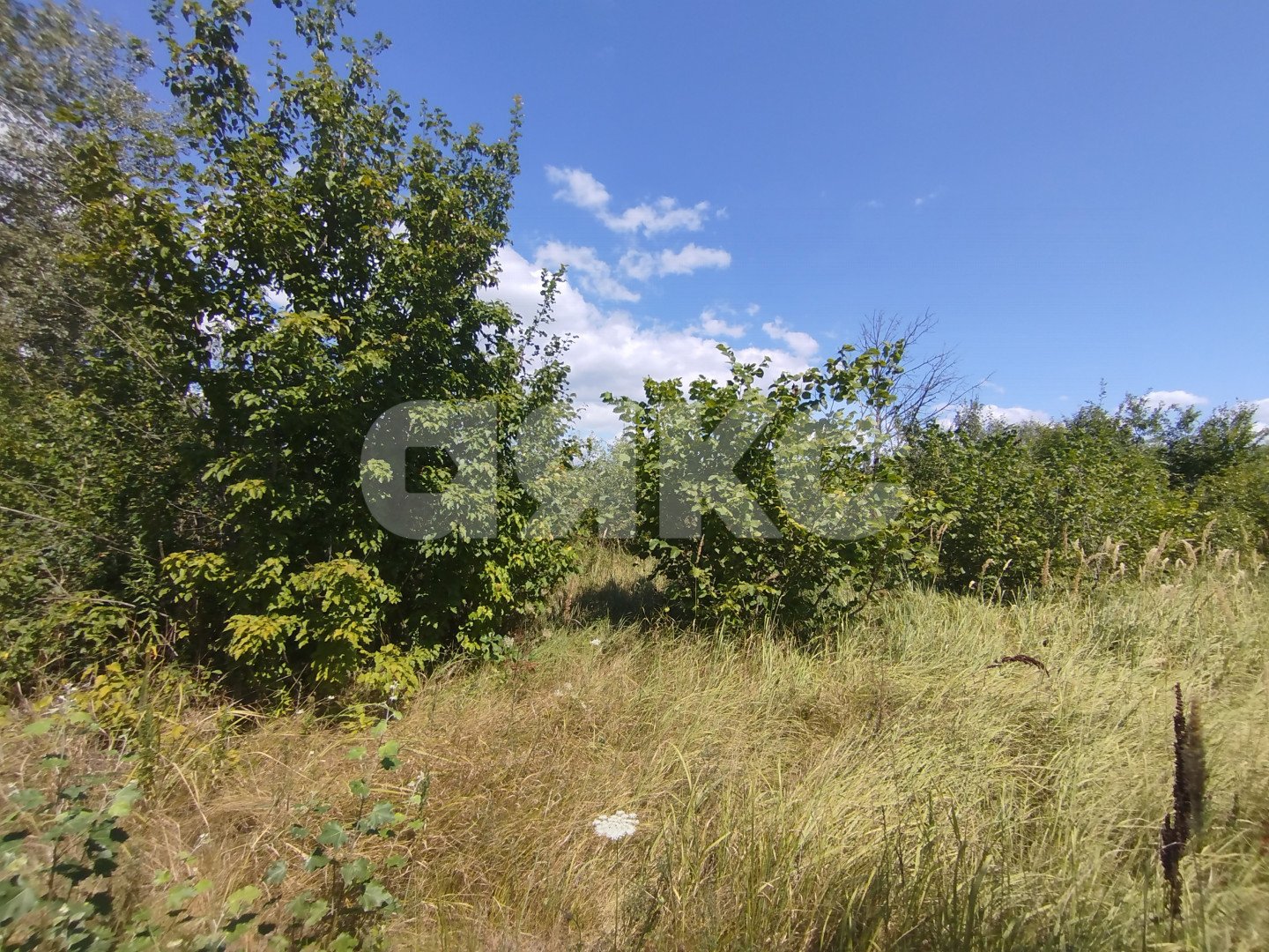 Фото №16: Участок садоводство 6 сот. - Мебельщик, 460