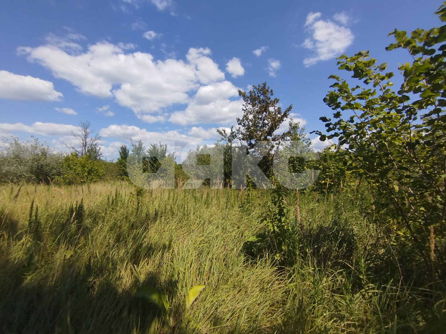 Фото №8: Участок садоводство 6 сот. - Мебельщик, 460